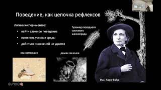 Курс Этология | Лекция 1 Такой маленький Альберт и такой большой скандал