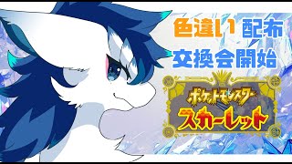【＃色違い配布/＃ポケモンSV】日頃の感謝を込めて色違い配布するよ～！＃VTuder＃女性配信者#初見さんいらっしゃい