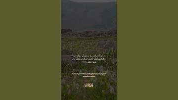 151 سورة البقرة: التلاوة المعبرة مع الترجمة الإنجليزية