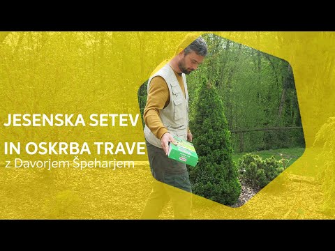 Video: Jesenska nega trate - Kako skrbeti za travo jeseni