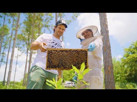 Bartenders Meet Beekeepers: Miami