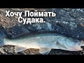 Судак на джиг. Окунь на тейл спиннер. Щука на тейл спиннер,  которая...