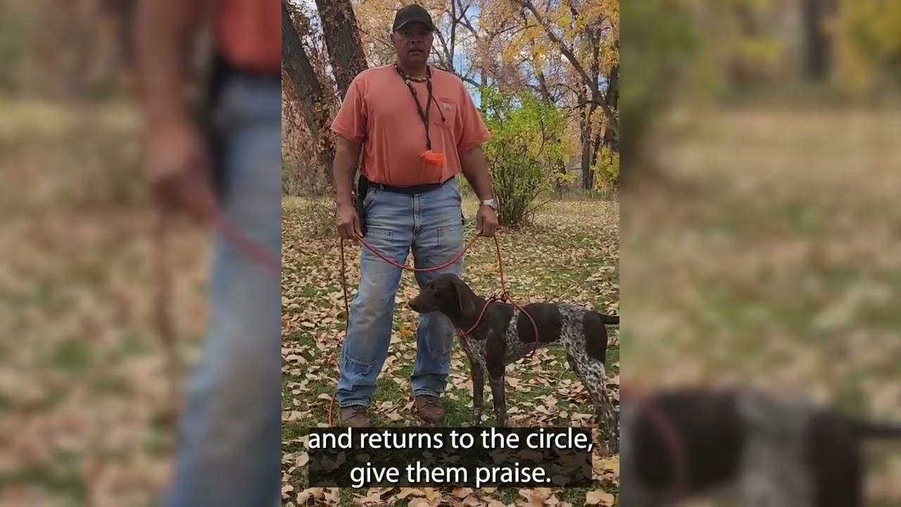 Getting Your Dog Started: The Circle Game