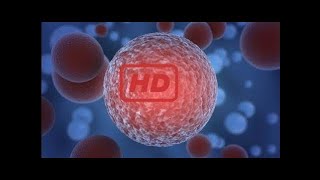 Science Documentary: Personalized Medicine, Synthetic Biology , a documentary on genetic design Update