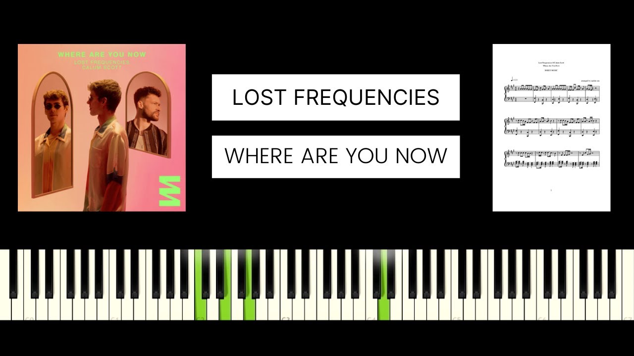 Lost Frequencies & Calum Scott - Where Are You Now (Lyrics) 