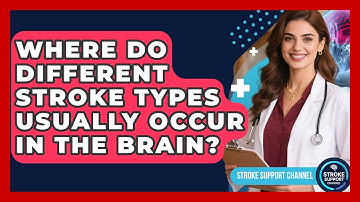 Where Do Different Stroke Types Usually Occur in the Brain? | Stroke Support Channel