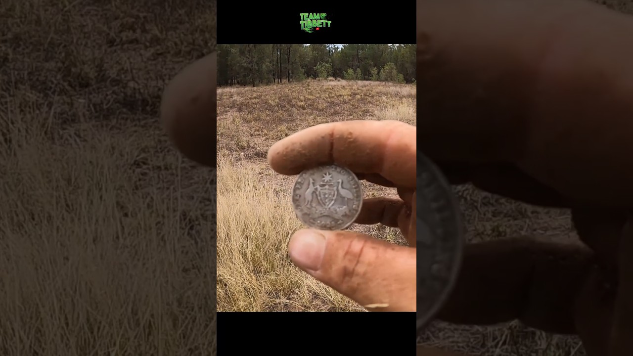 Мой любимый звук... БОЛЬШАЯ СЕРЕБРЯНАЯ МОНЕТА!!!