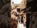 Bigfoot visits Syria. #bigfootvlogs #ai #syria