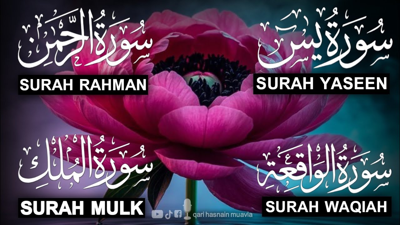 Surah Yasin ❤️ Surah Rahman , Surah Waqiah , Surah Mulk | Ep 385,یس