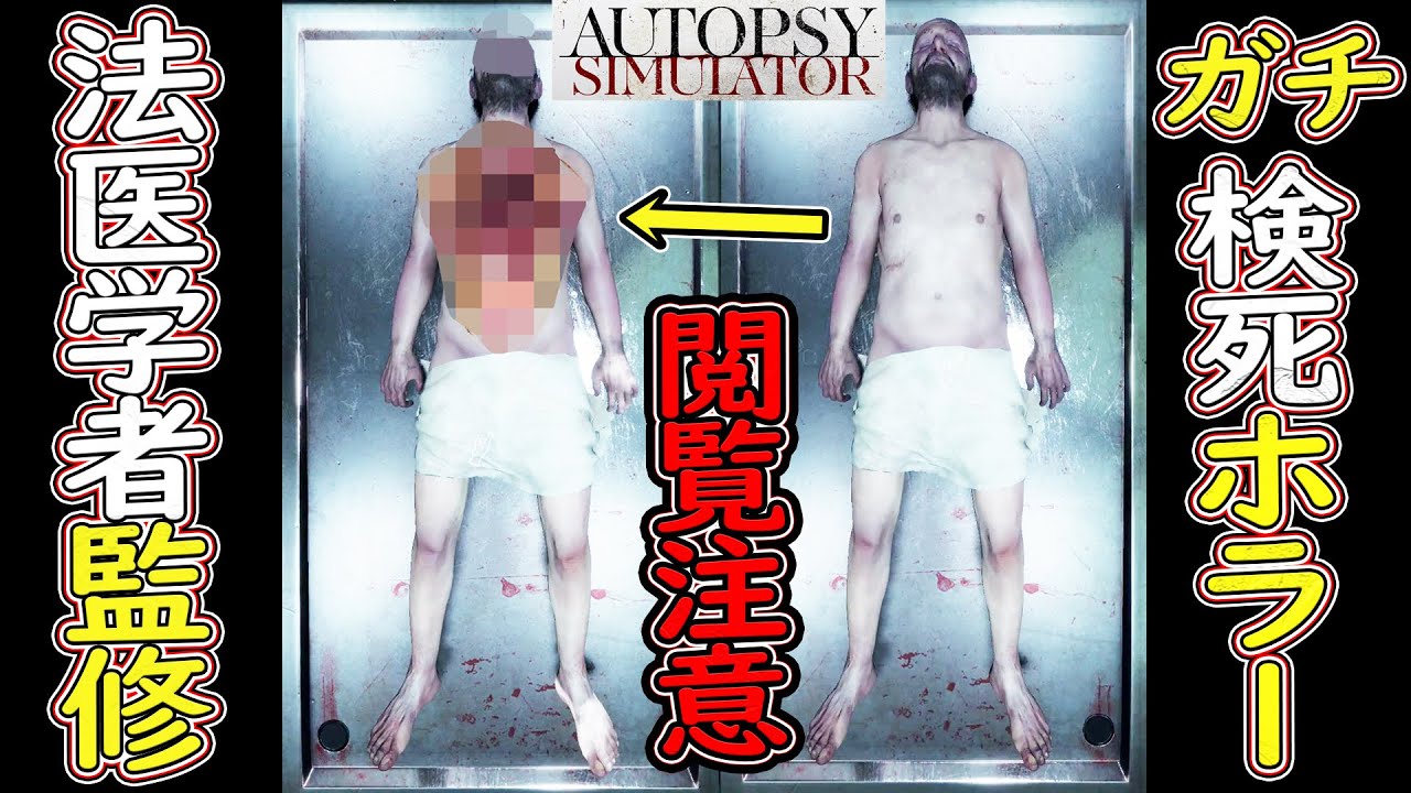 閲覧注意 0 1 法医学者 達が監修した検死シミュレーターがガチでヤバかった ホラーゲーム実況 Autopsy Simulator Demo版 Youtube