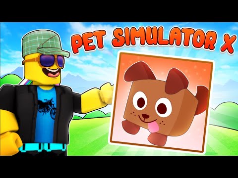 LOGGY BECOMING A BILLIONAIRE IN PET SIMULATOR X