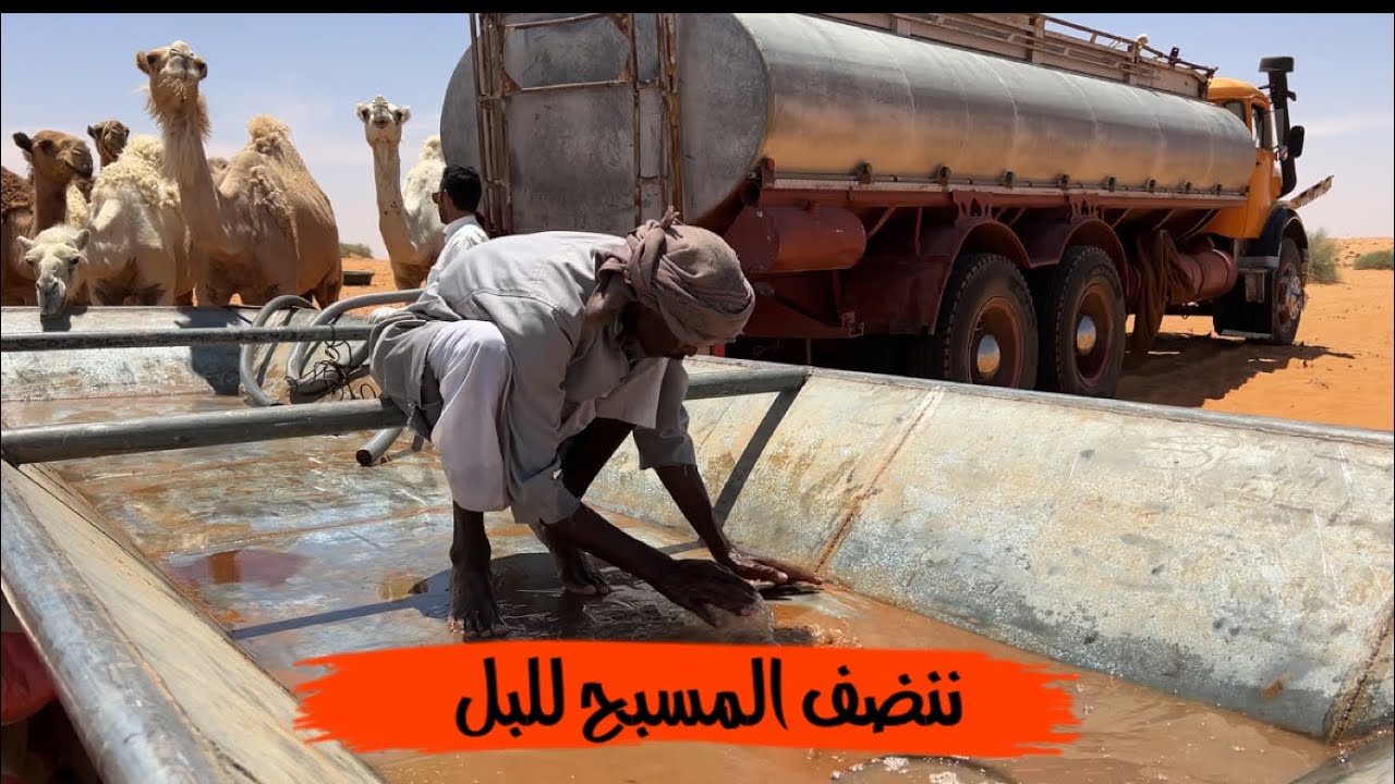 الشغل والوناسه عند البل