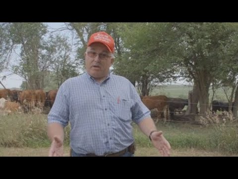 Ohio farmer who left GOP over Trump's agricultural policy to ...