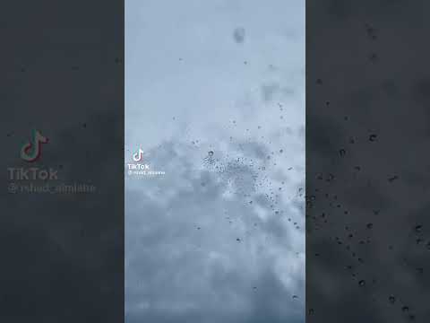 شتي يا دنيا