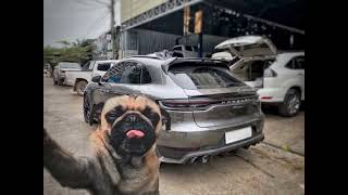 Tuca Tuca ft Say Yu Mi Ye x Smoke Everyday | Nonstop LAY Remix💿⏸️🎶