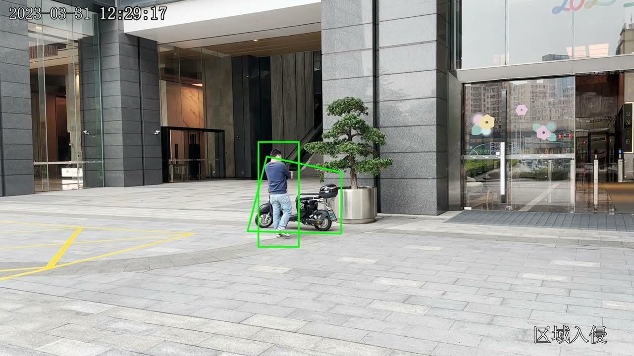 AI Camera - Area irrupt