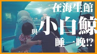 與小白鯨一起睡覺 夜宿屏東海生館 突襲晚上魚都在做什麼得體夫婦旅遊 Pingtung National Museum of Marine Biology