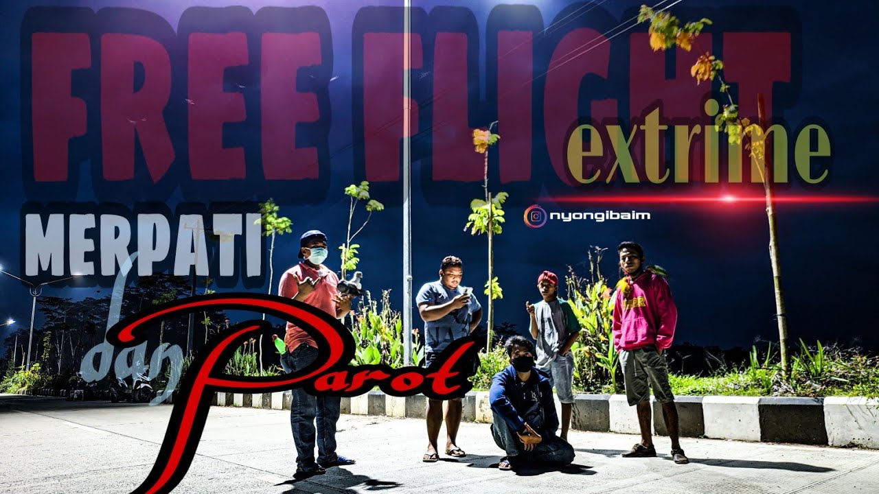FREEFLY BURUNG MALAM HARI 