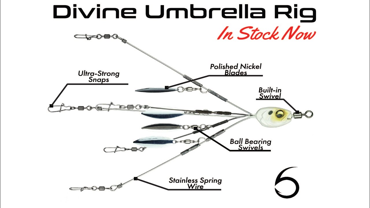 Introducing the Divine Umbrella Rig from 6th Sense Fishing 
