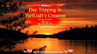 Walking in the Light of YaHUaH &amp; His Creation