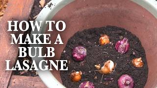 How To Create A Stunning Bulb Lasagna For Spring!