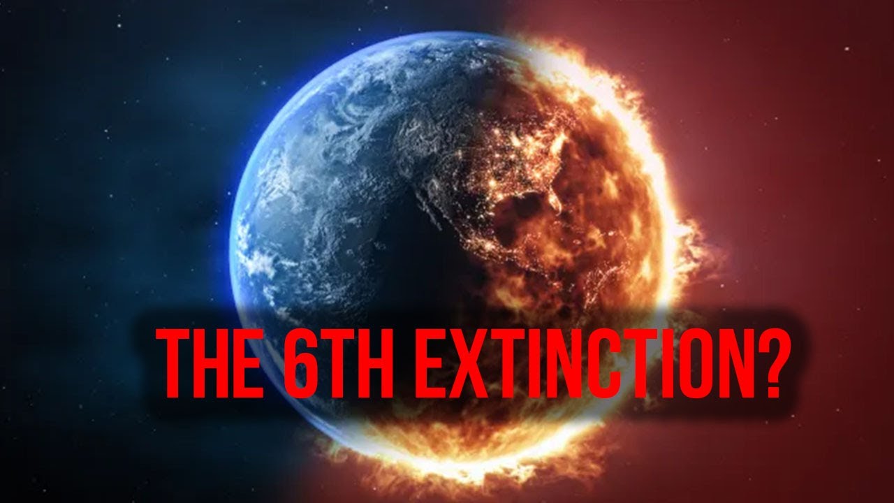 Why Humans Are Likely to Cause the 6th Mass Extinction | A Truth We Can ...