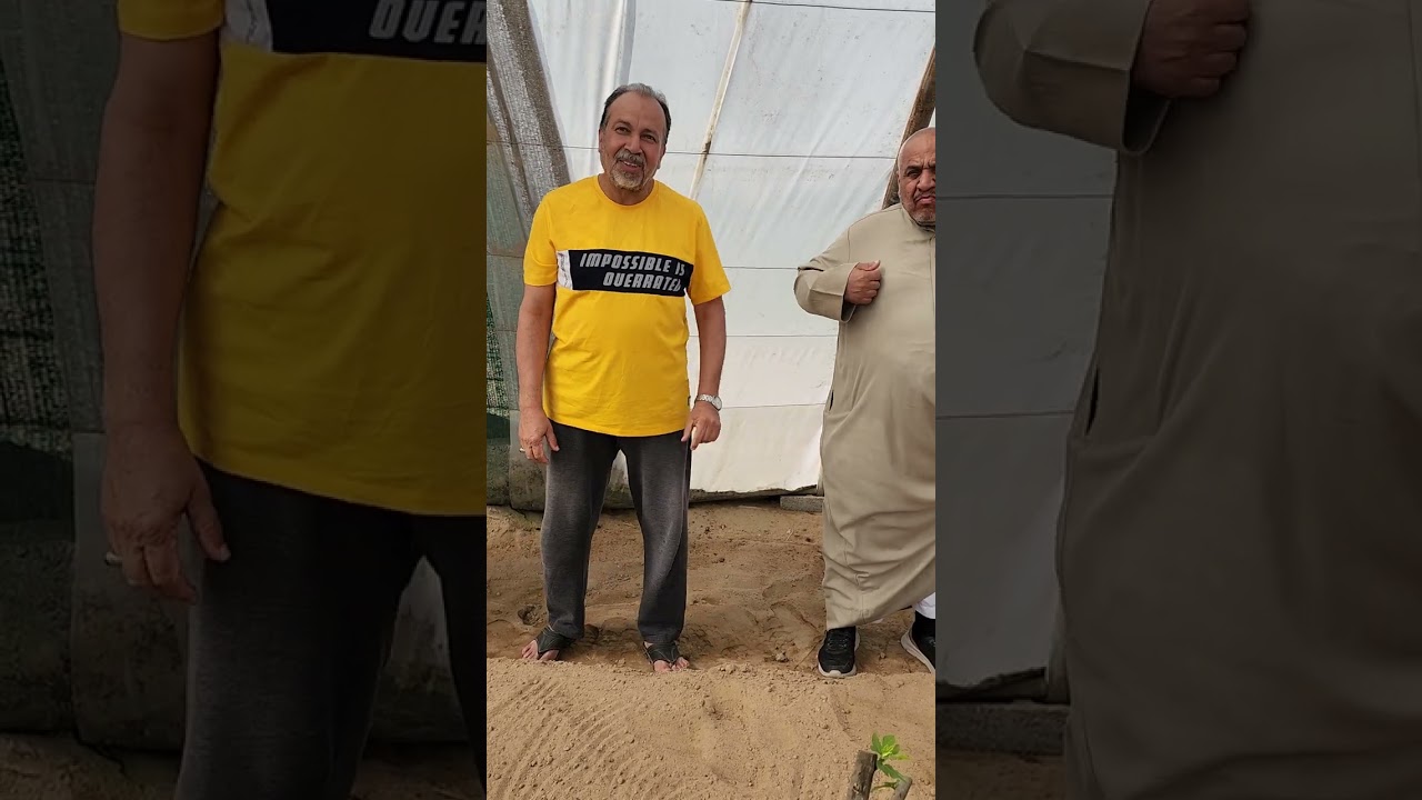 شرح مفصل لزراعة التين والتسميد والعنايه