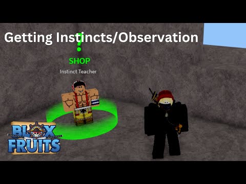 Instinct Teacher, Blox Fruits Wiki