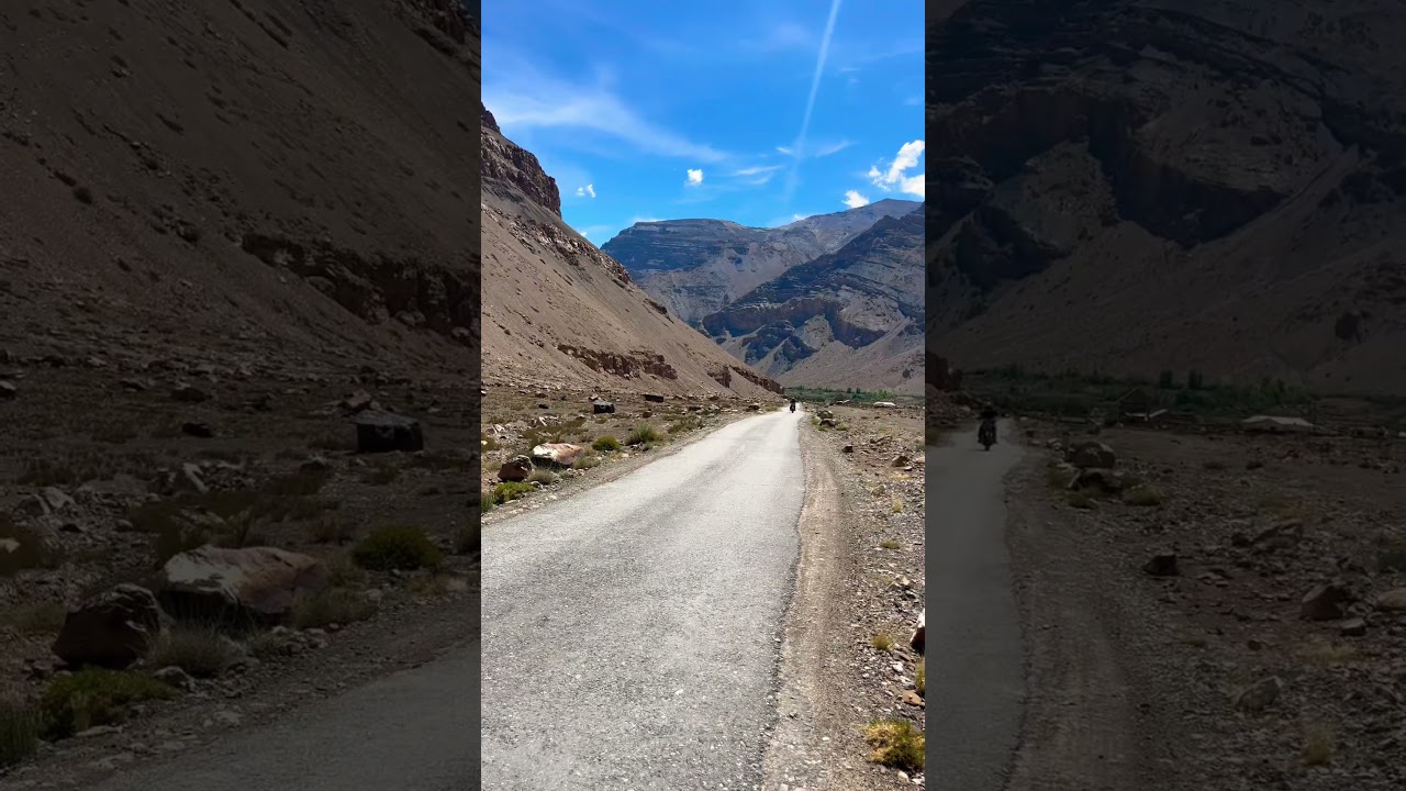 They don’t really care about us 😎😎 