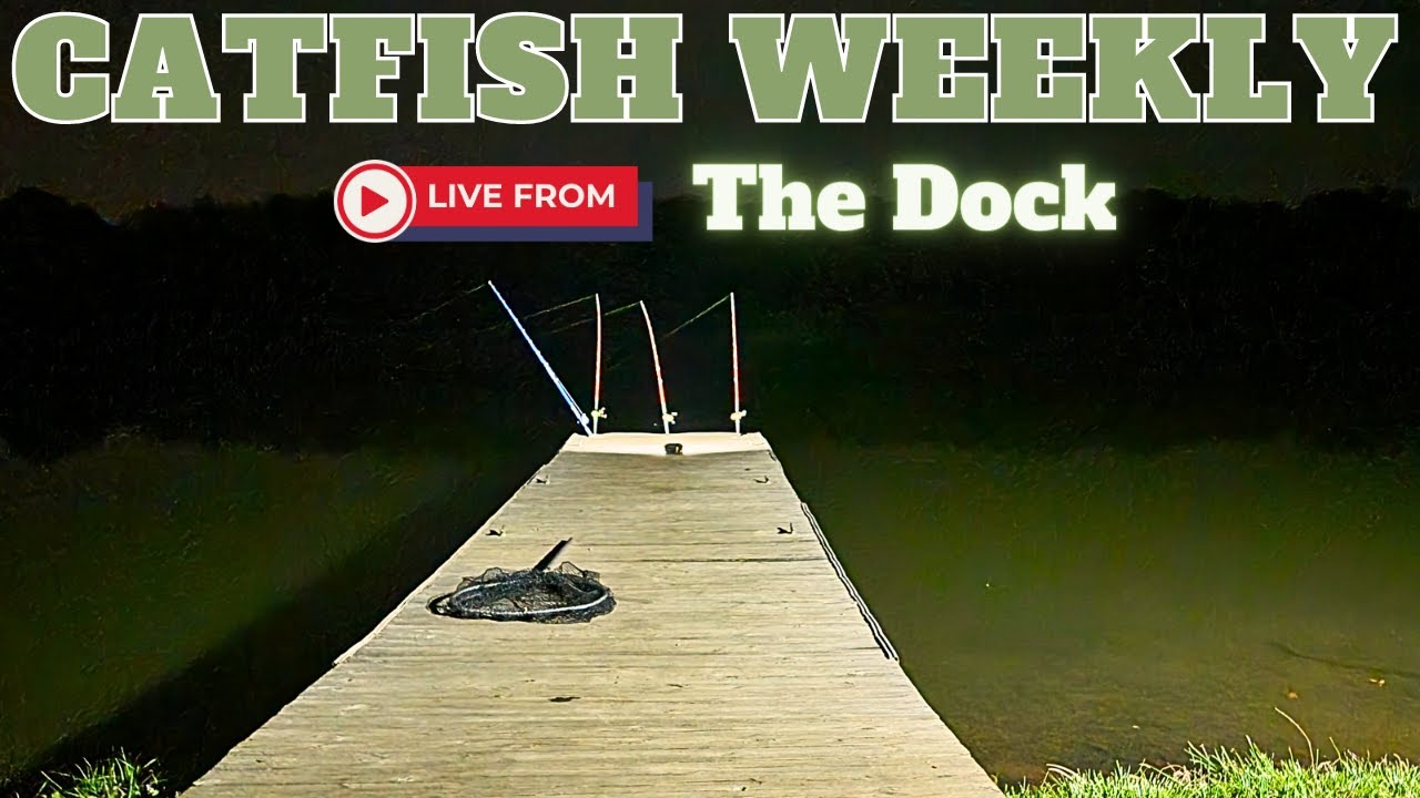 Catfish Weekly 473 Live from Lake Gaston's most famous Dock YouTube