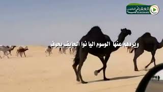 شيلة شهب السنين كلمات الشاعر كهاف البقمي أداء مشعل الروقي