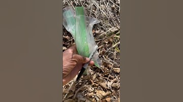 How to perform a soil test