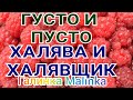 Колесниковы /Густо и пусто /Враньё/Халява и халявщики /Обзор Влогов /