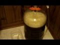 Beer fermentation