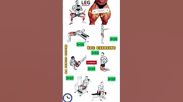 Leg Workouts for ALL Levels: Beginner to Advanced Training!