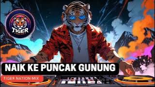 Lagu Naik naik ke puncak gunung remix 2024 | Tiger Nation Mix 2024 | Lagu anak Indonesia