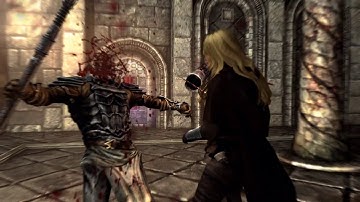 Skyrim SE : Farewell FNIS, Nemesis + Combat Gameplay Overhaul work like a charm!