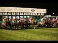【レース中継】ドバイ ワールドカップ！ ＆ ウイニングポスト！