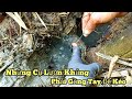 Câu lươn khủng_Tổng hợp những cụ lươn khổng lồ phải gồng tay để kéo//eel fishing.Giant eels