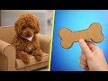 New Dog IRL 🐶✨ Testing Viral Hacks on Our First Adventure!