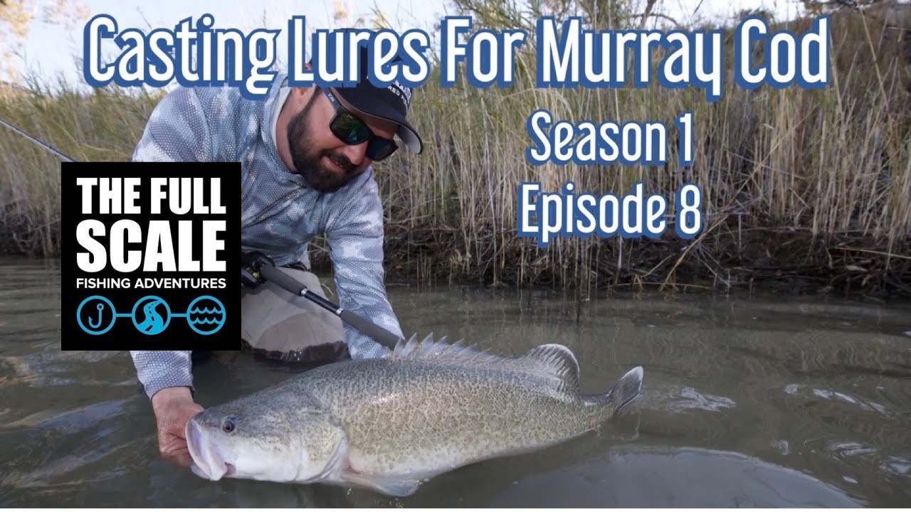 Lure casting for mega Cod on the Murray River - Balista Lures %