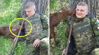 A Baby Moose Approaches a Soldier, What Happens Next Will Surprise You!