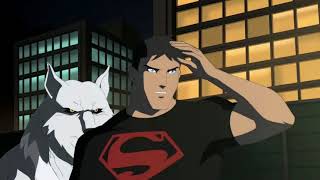 Young Justice Super Abridged : Disordered