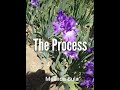 The Process of building the Iris Quilt by Melinda Bula