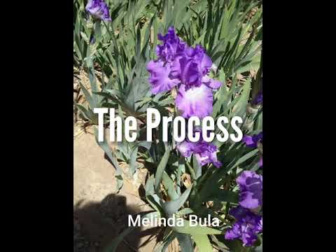The Process of building the Iris Quilt by Melinda Bula