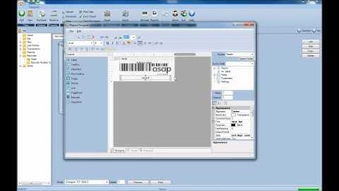 Creating Custom Asset Barcodes from www.asapsystems.com