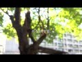 World's End Girlfriend - 追憶の記録