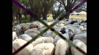 Çankırı.orta.dodurga Beldesi