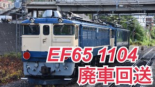 【EL終焉へ】田端運転所 EF65-1104 廃車回送 EF64-1053 + EF65-1104