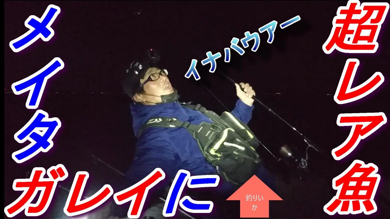 3月の極寒投げ釣りで釣れたのは超激レア魚⁉　【魚神の釣りいかれへんわ】